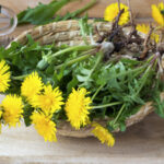 Hepatoburn Review: Does It Really Support Liver Health & Fat Burning? Dendelion