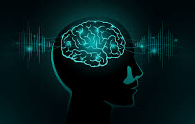 brain